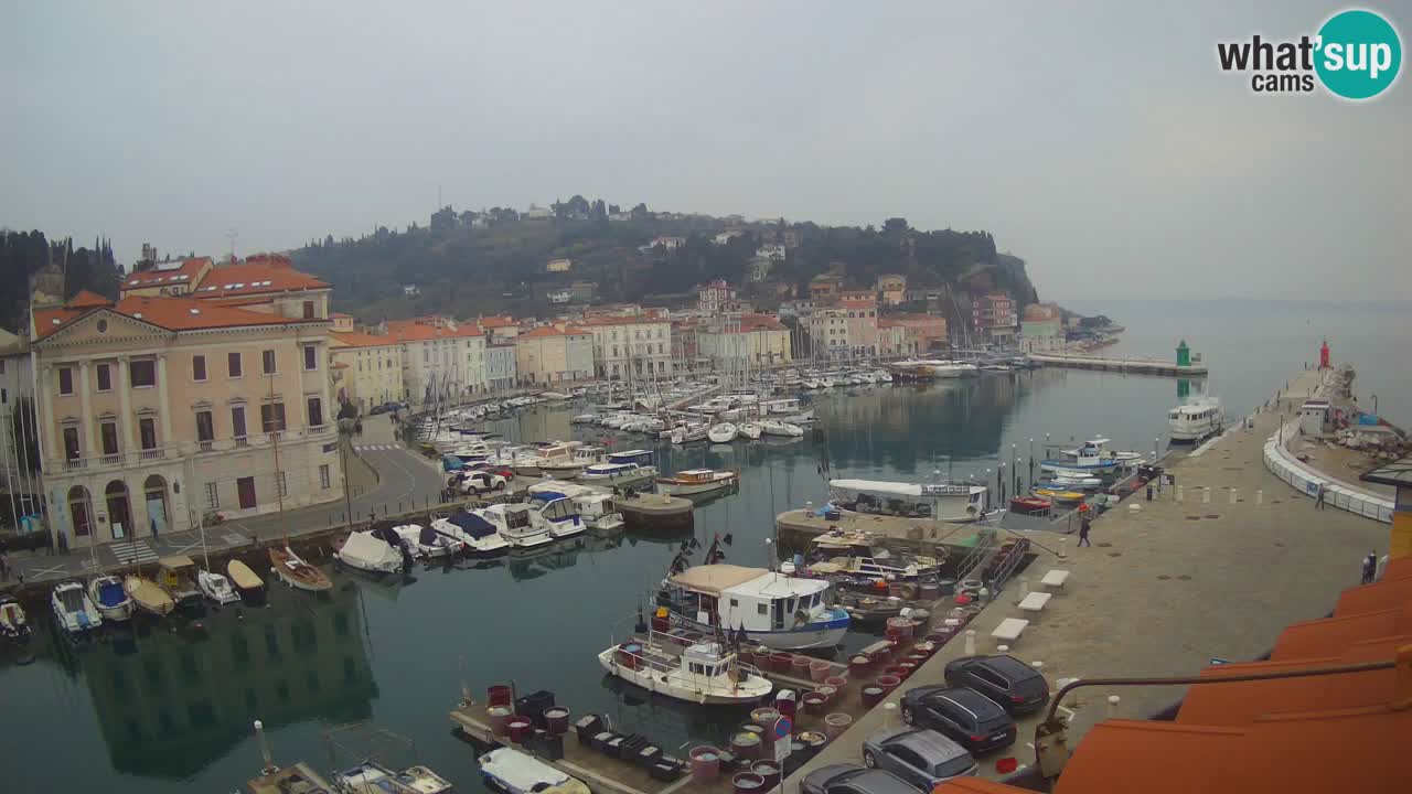 Live webcam da Pirano “Mandrač” – Splendida vista live da Villa Piranesi