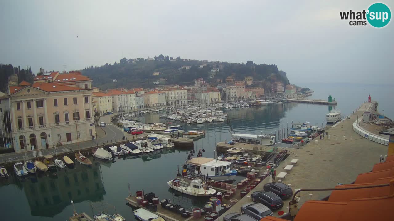 Live webcam da Pirano “Mandrač” – Splendida vista live da Villa Piranesi