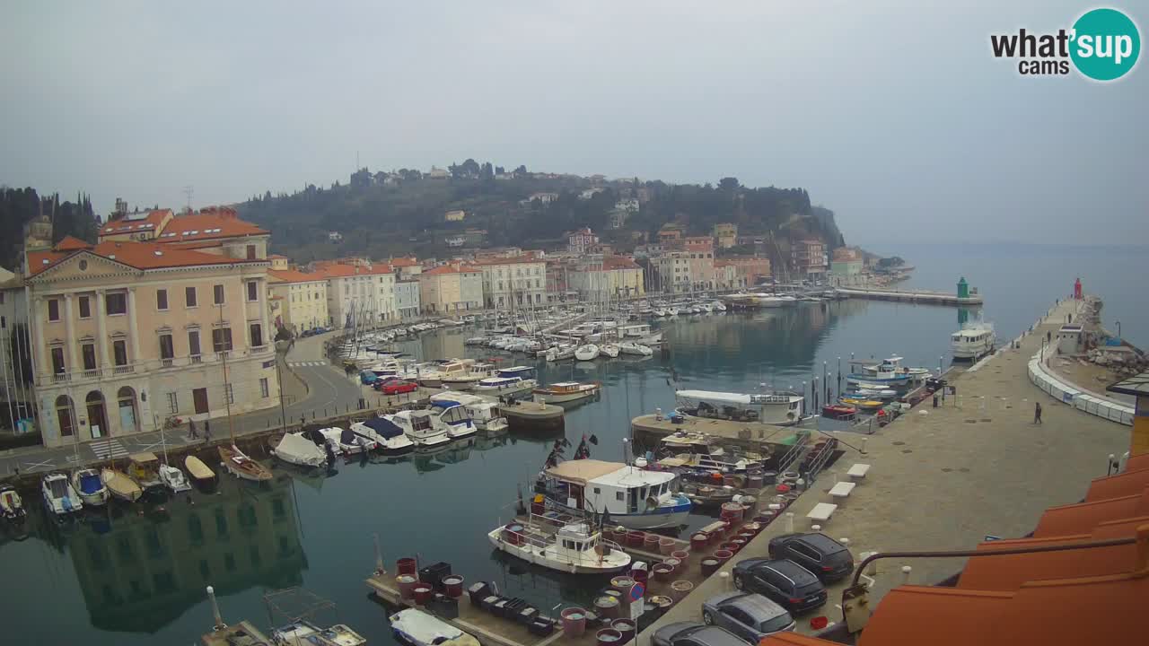 Live webcam da Pirano “Mandrač” – Splendida vista live da Villa Piranesi