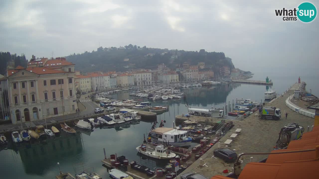 Live webcam da Pirano “Mandrač” – Splendida vista live da Villa Piranesi