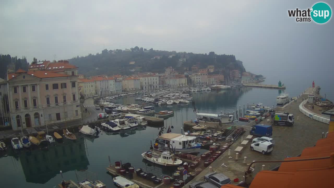 Live-Webcam aus Piran “Mandrač” – Erstaunliche Live-Ansicht von Villa Piranesi