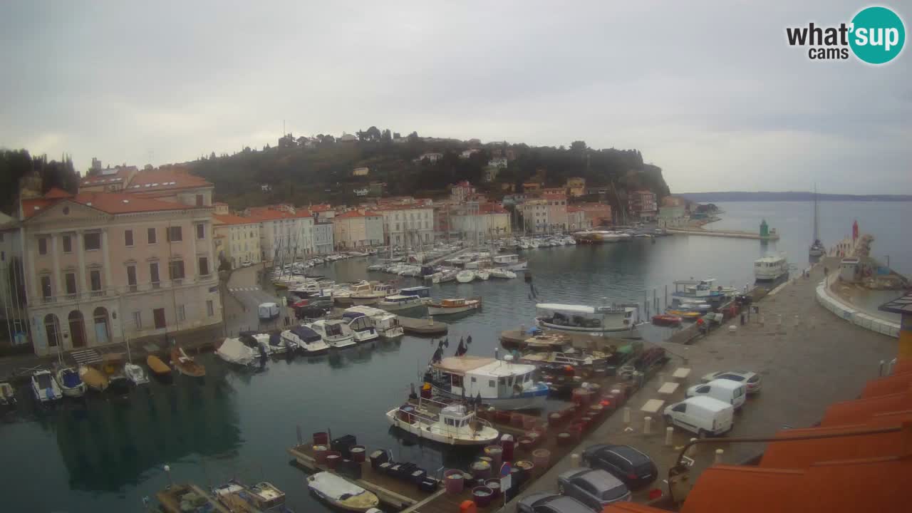 Live-Webcam aus Piran “Mandrač” – Erstaunliche Live-Ansicht von Villa Piranesi