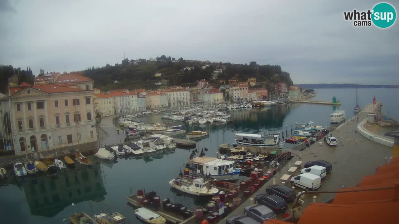 Live-Webcam aus Piran “Mandrač” – Erstaunliche Live-Ansicht von Villa Piranesi