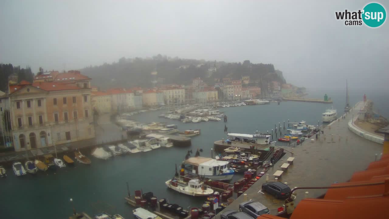 Cámara web en vivo desde Piran “Mandrač” – Increíble vista en vivo desde Villa Piranesi