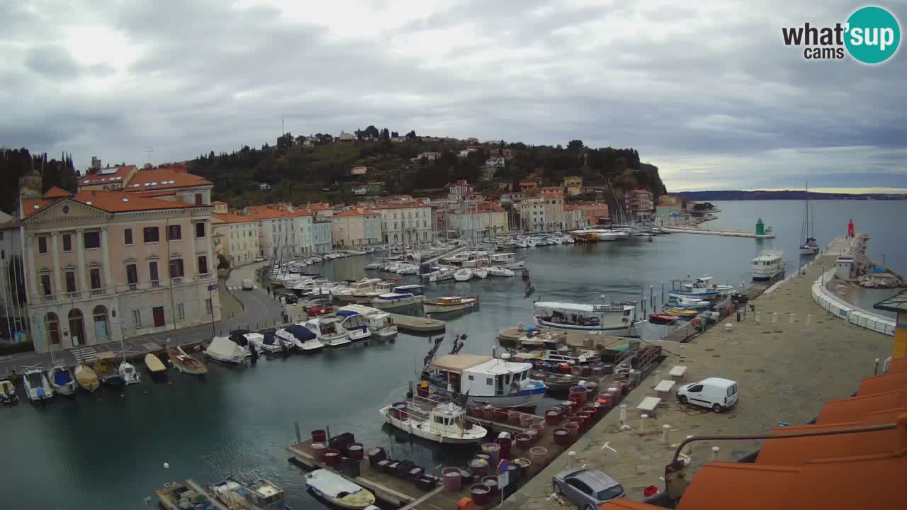 Live webcam da Pirano “Mandrač” – Splendida vista live da Villa Piranesi