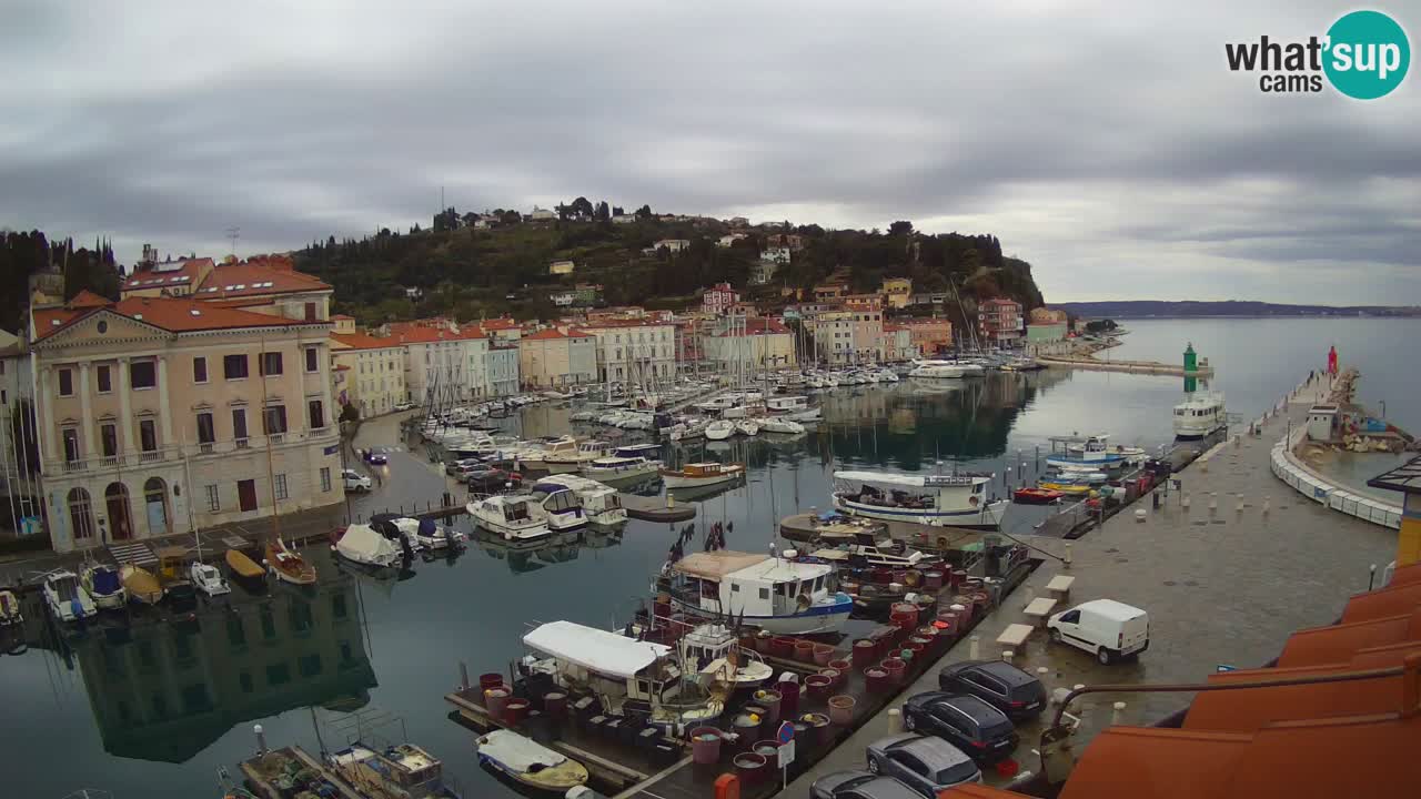 Live webcam from Piran “Mandrač” – Amazing live view from Villa Piranesi