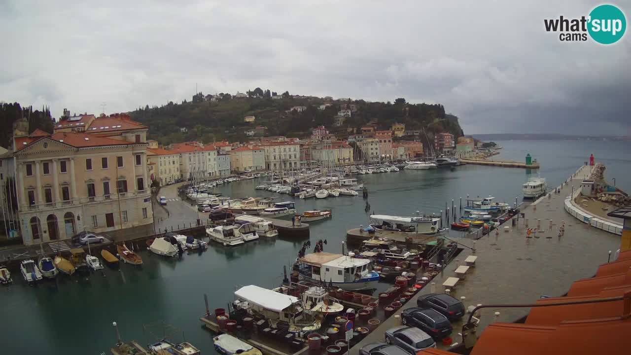 Live webcam da Pirano “Mandrač” – Splendida vista live da Villa Piranesi