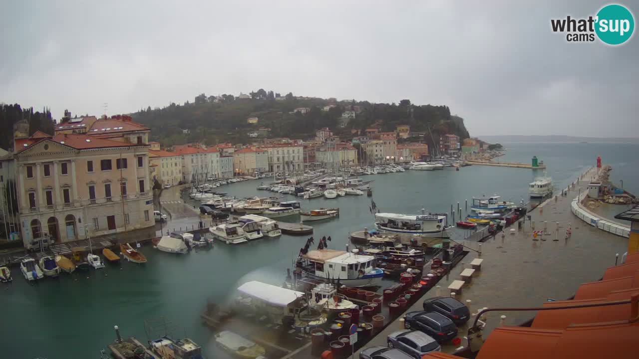 Webcam en direct de Piran “Mandrač” – Incroyable vue en direct de la Villa Piranesi