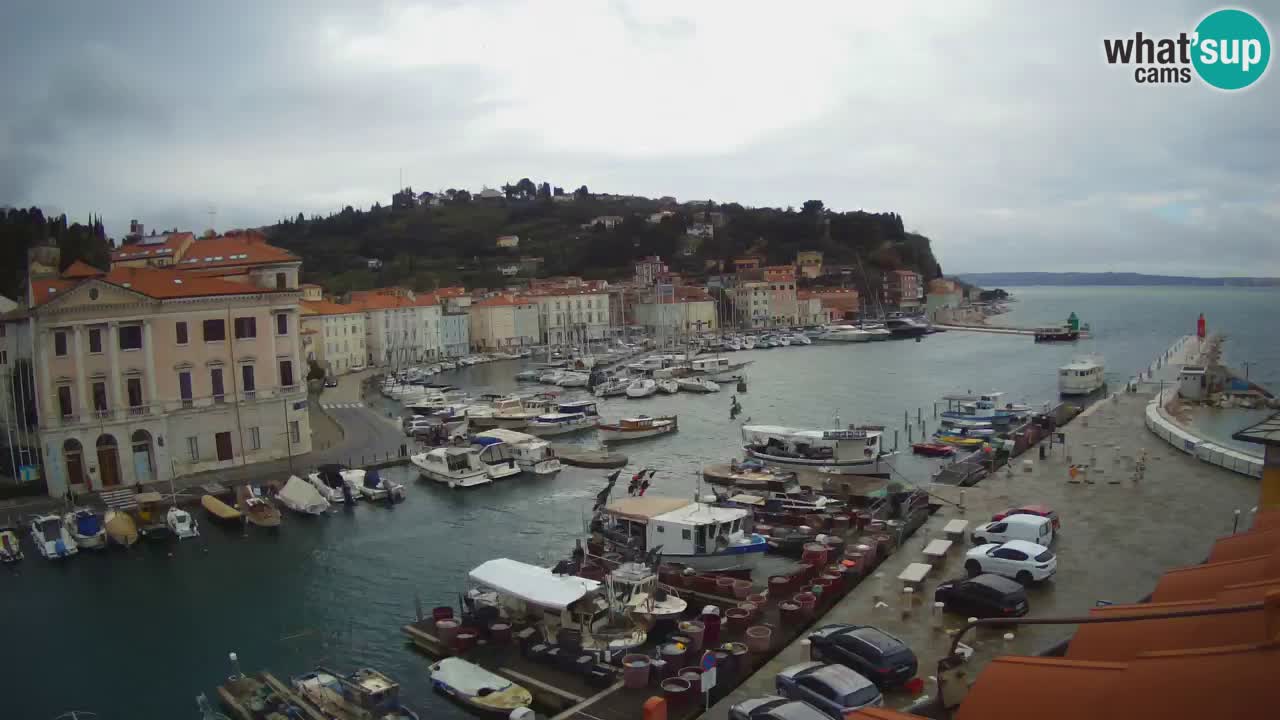 Webcam en direct de Piran “Mandrač” – Incroyable vue en direct de la Villa Piranesi