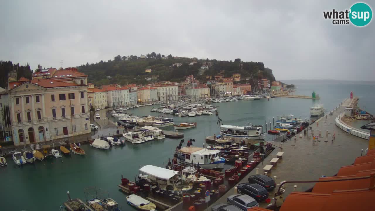 Live webcam da Pirano “Mandrač” – Splendida vista live da Villa Piranesi