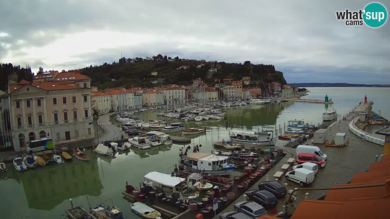 Live-Webcam aus Piran “Mandrač” – Erstaunliche Live-Ansicht von Villa Piranesi