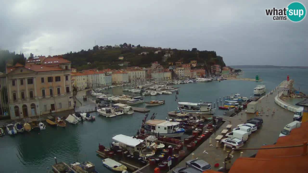 Live webcam da Pirano “Mandrač” – Splendida vista live da Villa Piranesi