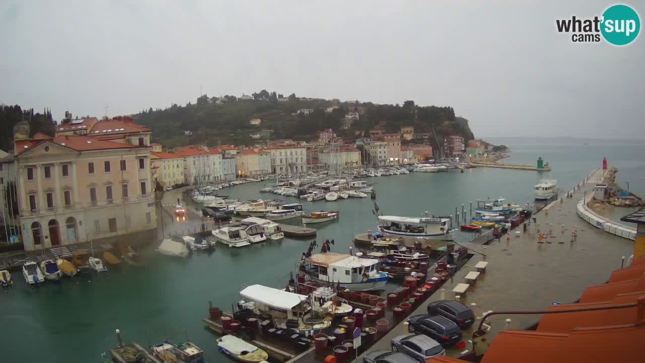 Live webcam da Pirano “Mandrač” – Splendida vista live da Villa Piranesi