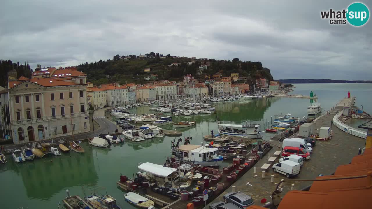 Live webcam from Piran “Mandrač” – Amazing live view from Villa Piranesi