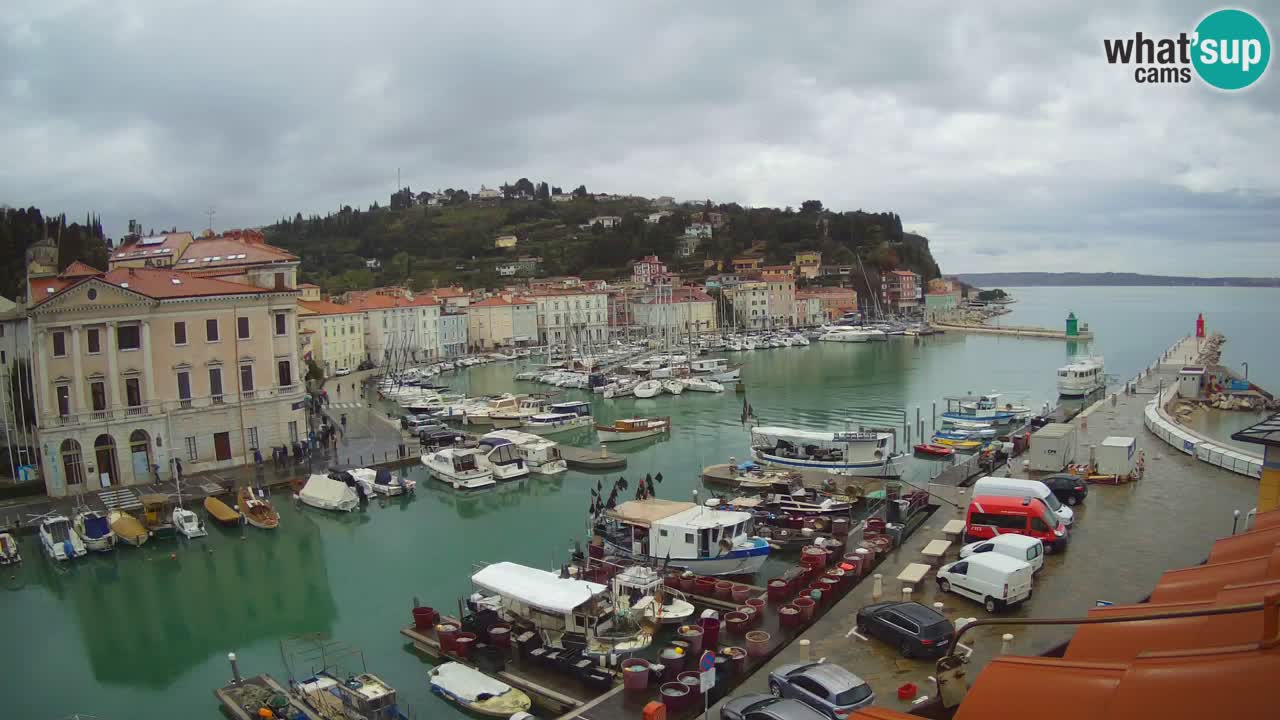 Live webcam da Pirano “Mandrač” – Splendida vista live da Villa Piranesi