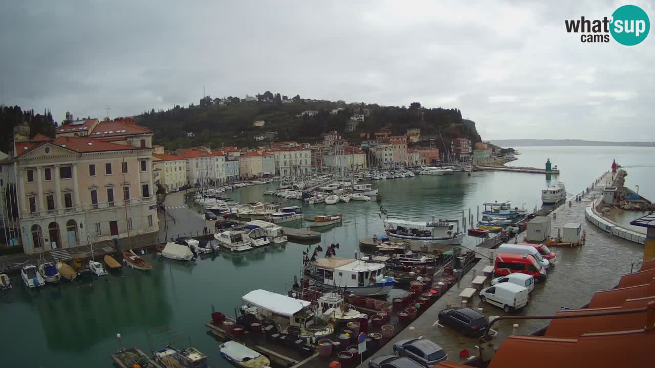 Live webcam from Piran “Mandrač” – Amazing live view from Villa Piranesi