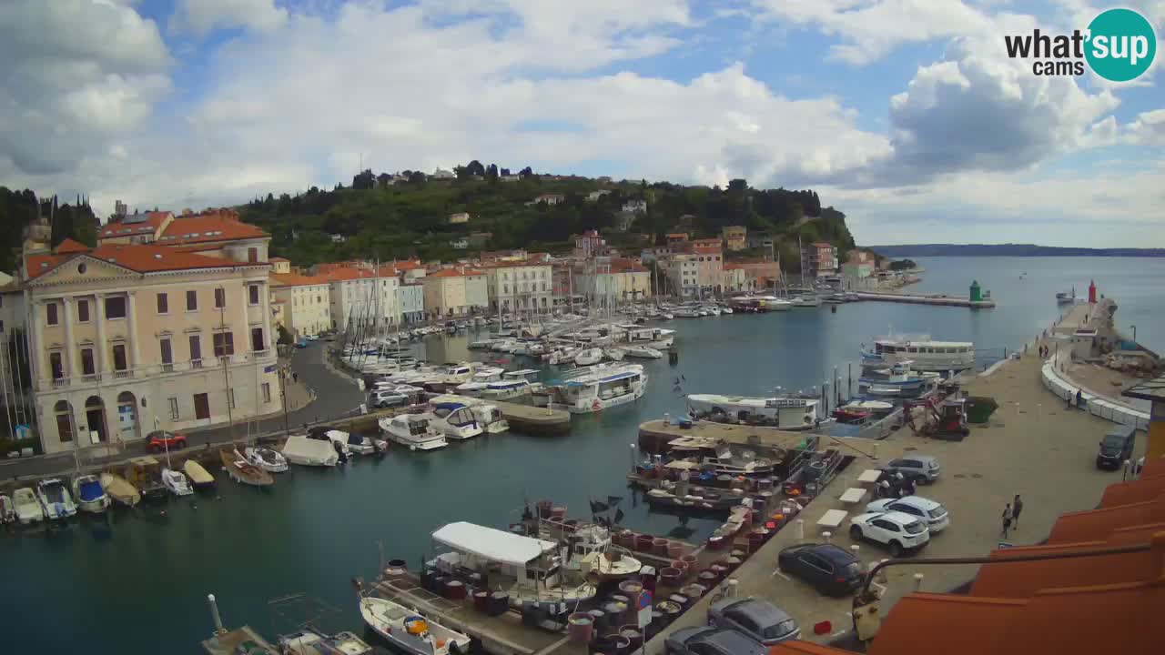 Live webcam da Pirano “Mandrač” – Splendida vista live da Villa Piranesi