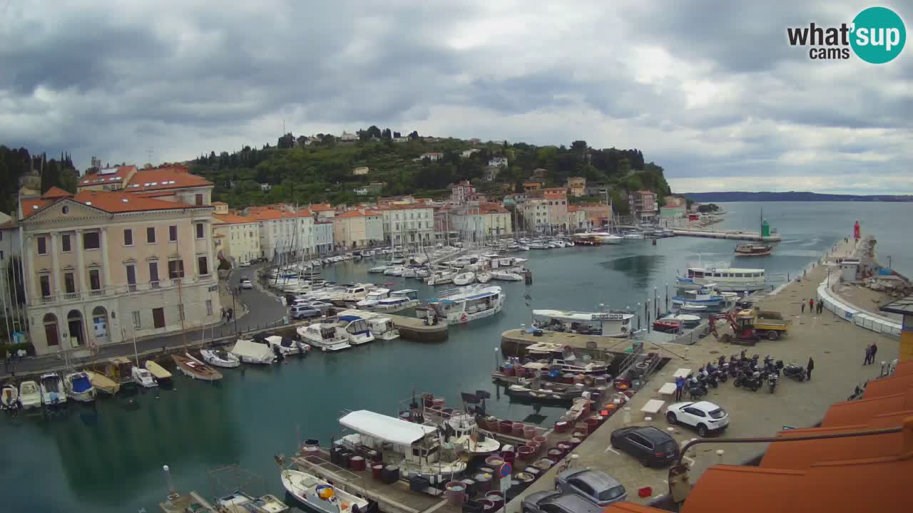 Iz Pirana Spletna kamera v živo “Mandrač” – Neverjeten pogled v živo iz Vile Piranesi