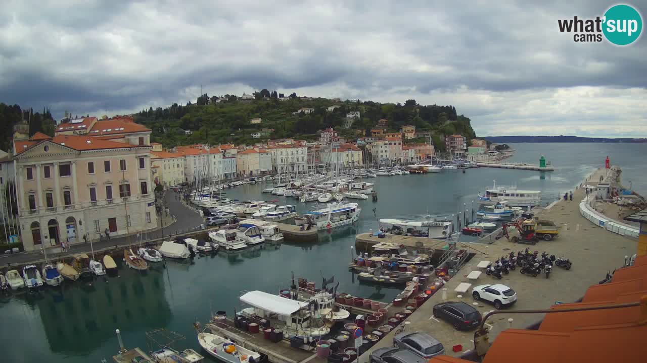 Iz Pirana Spletna kamera v živo “Mandrač” – Neverjeten pogled v živo iz Vile Piranesi