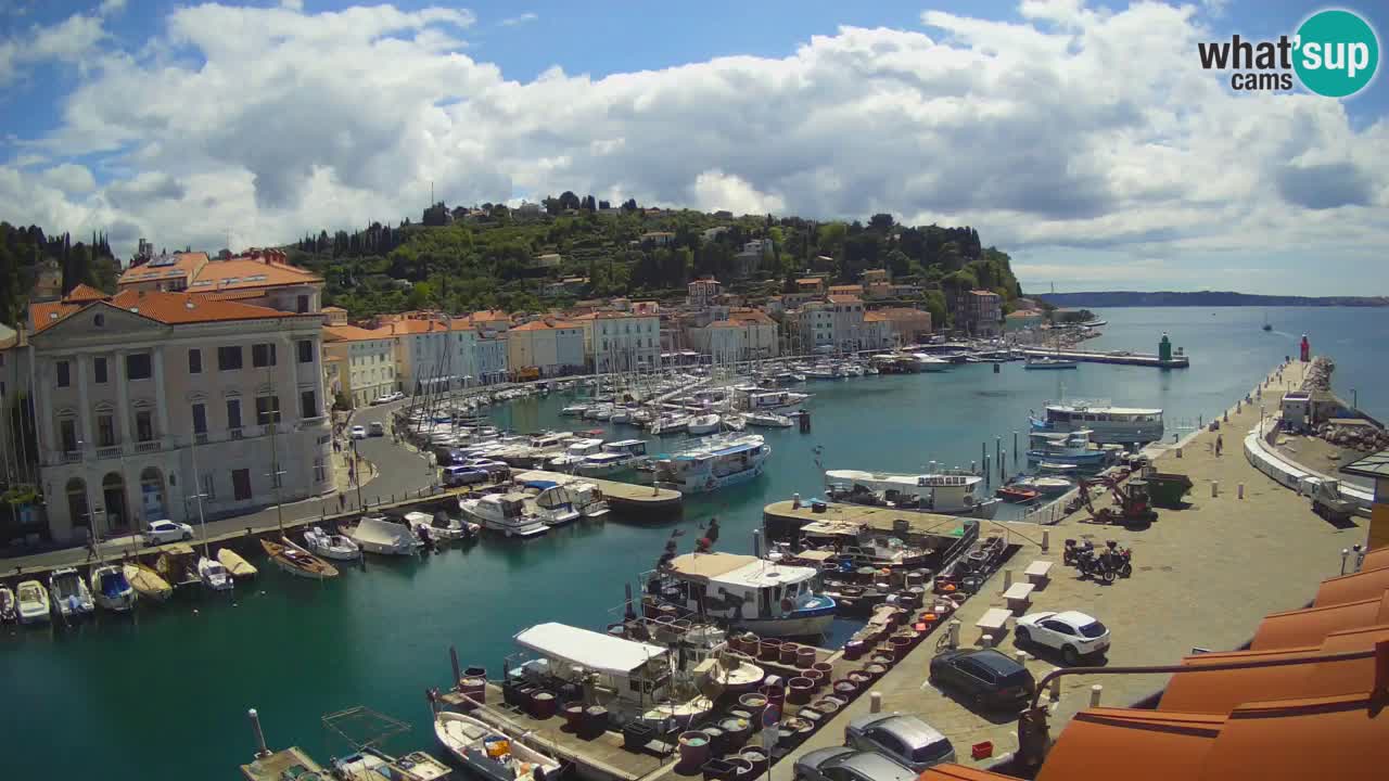 Live webcam da Pirano “Mandrač” – Splendida vista live da Villa Piranesi