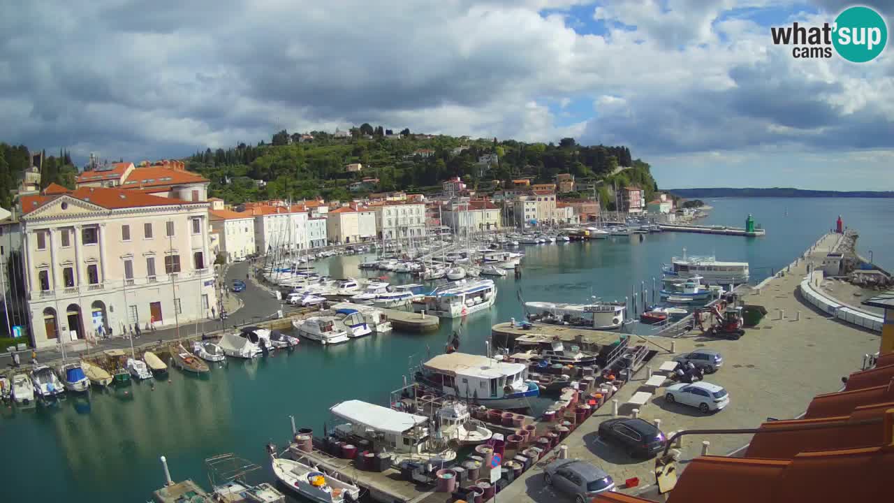 Iz Pirana Spletna kamera v živo “Mandrač” – Neverjeten pogled v živo iz Vile Piranesi