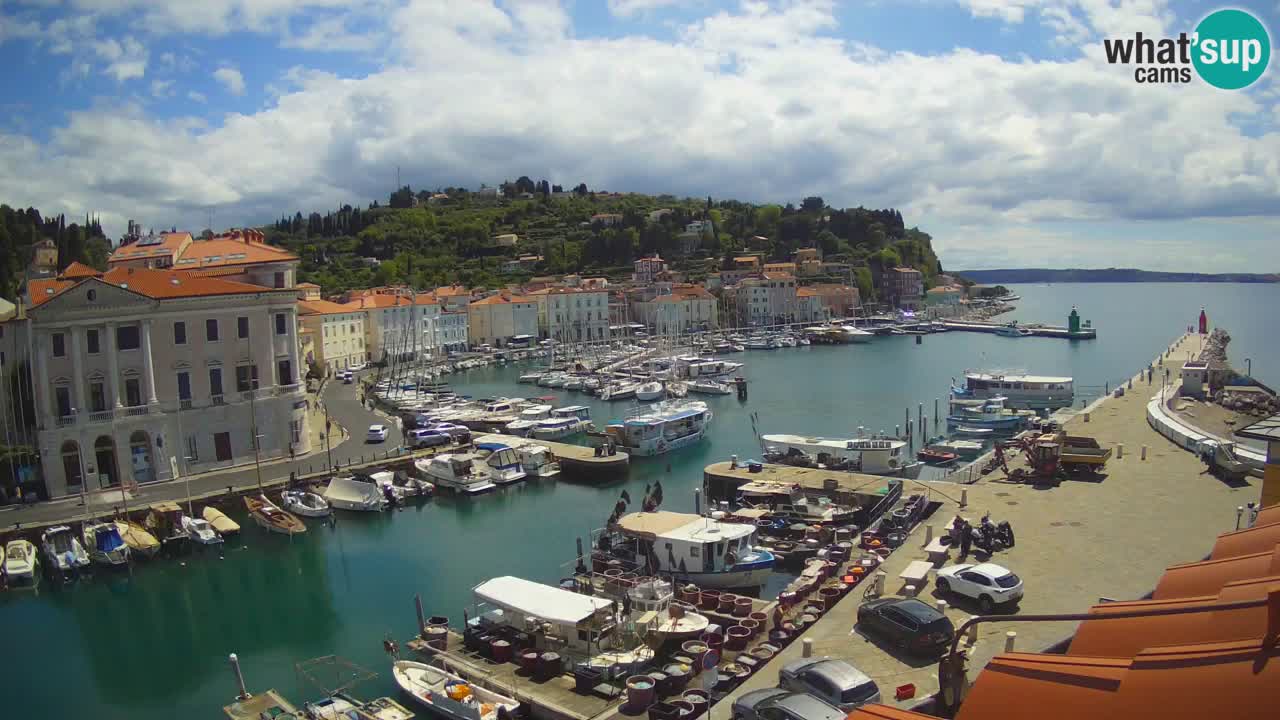 Web kamera uživo iz Pirana “Mandrač” – Nevjerojatan pogled uživo iz Ville Piranesi