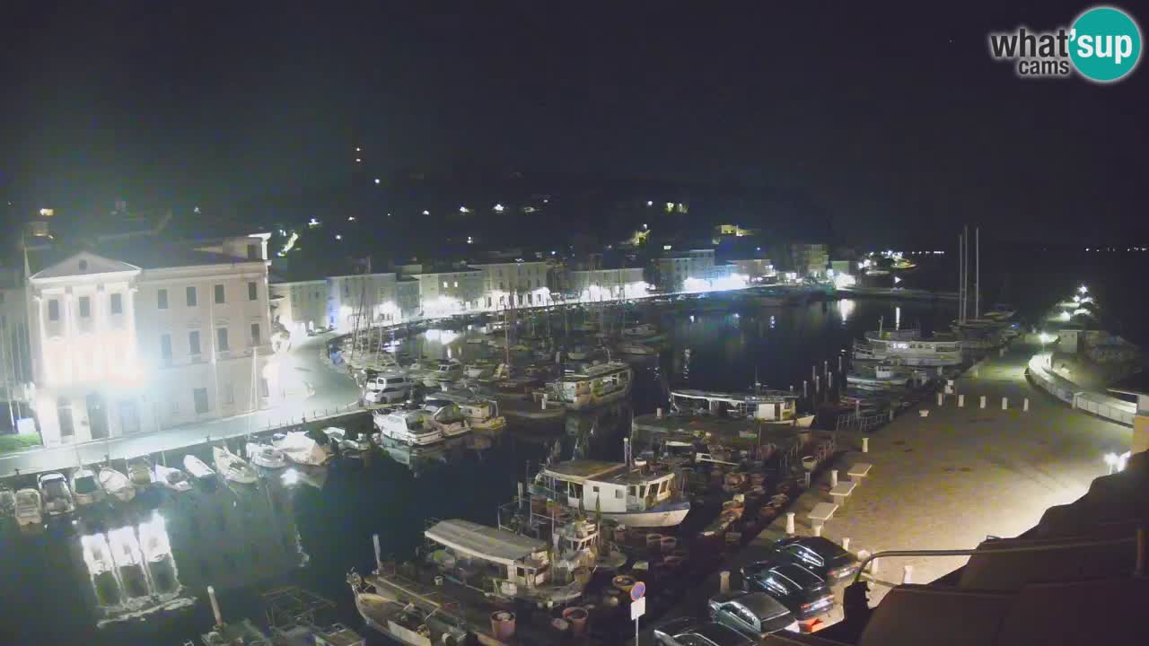 Iz Pirana Spletna kamera v živo “Mandrač” – Neverjeten pogled v živo iz Vile Piranesi