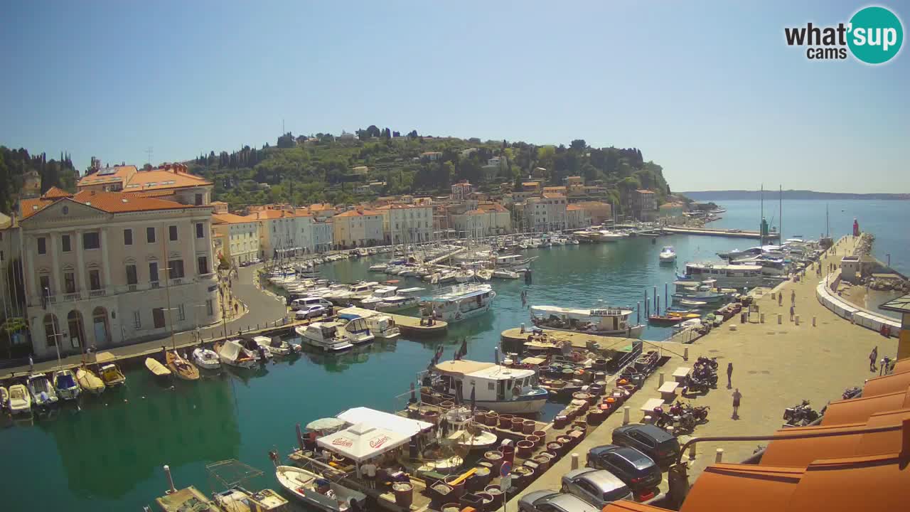 Live-Webcam aus Piran “Mandrač” – Erstaunliche Live-Ansicht von Villa Piranesi