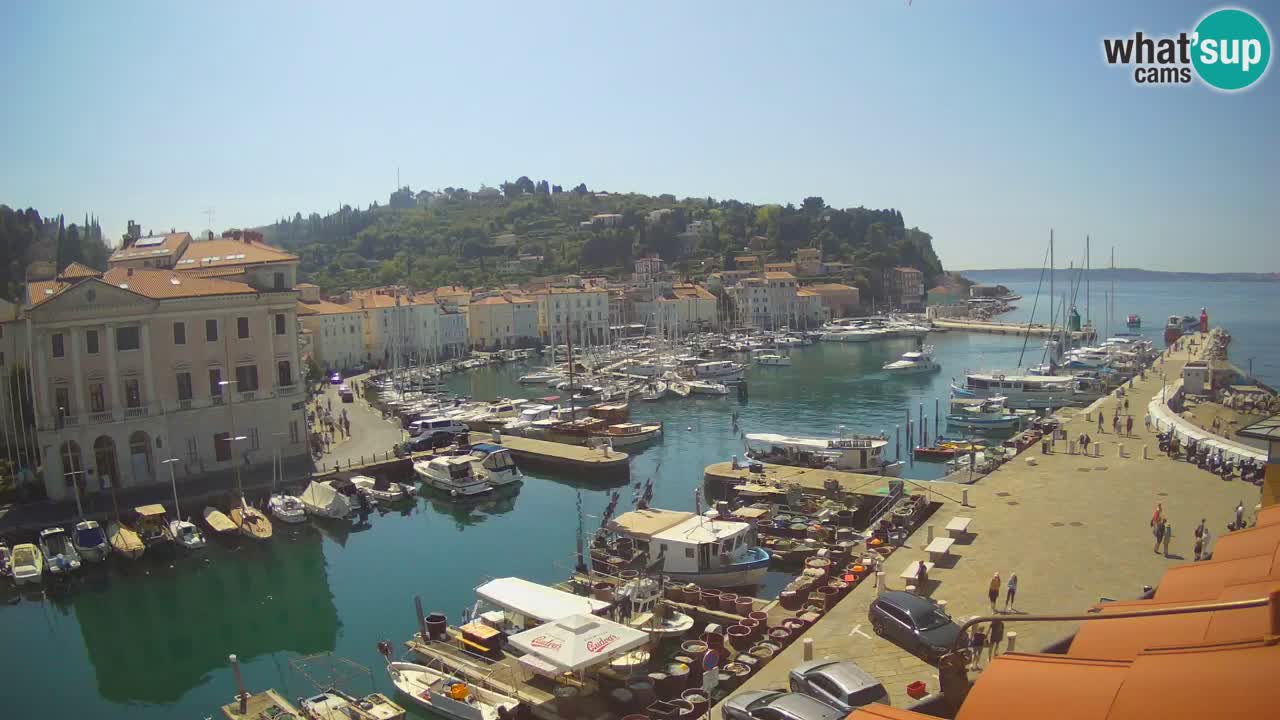 Webcam en direct de Piran “Mandrač” – Incroyable vue en direct de la Villa Piranesi