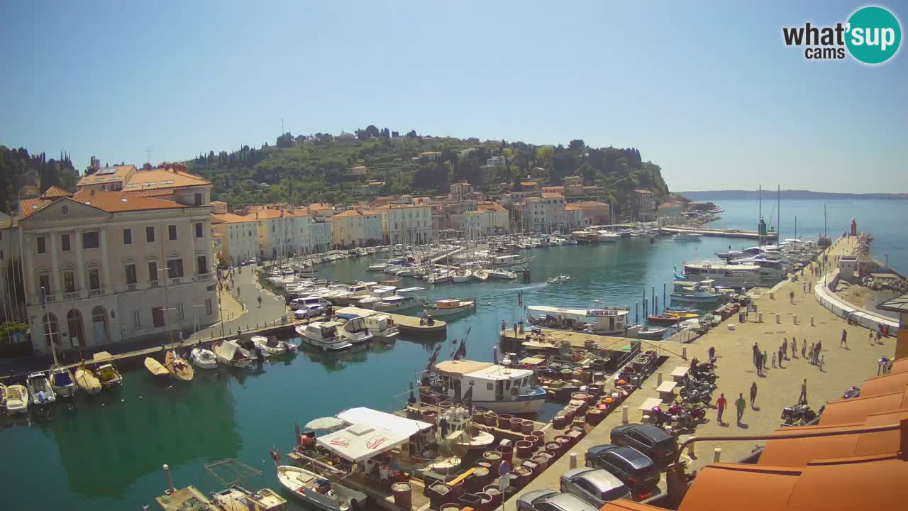Live webcam da Pirano “Mandrač” – Splendida vista live da Villa Piranesi