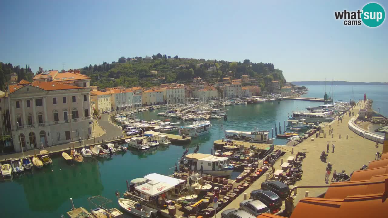 Live-Webcam aus Piran “Mandrač” – Erstaunliche Live-Ansicht von Villa Piranesi