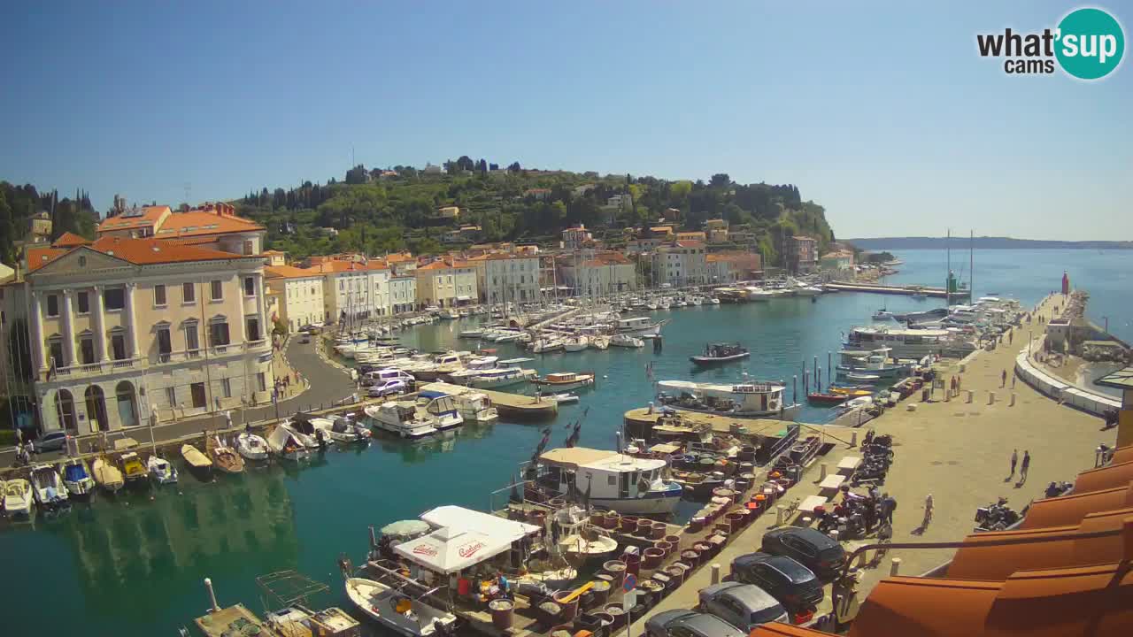 Live webcam da Pirano “Mandrač” – Splendida vista live da Villa Piranesi