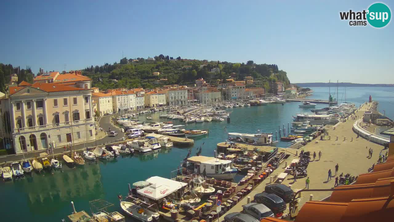 Live-Webcam aus Piran “Mandrač” – Erstaunliche Live-Ansicht von Villa Piranesi