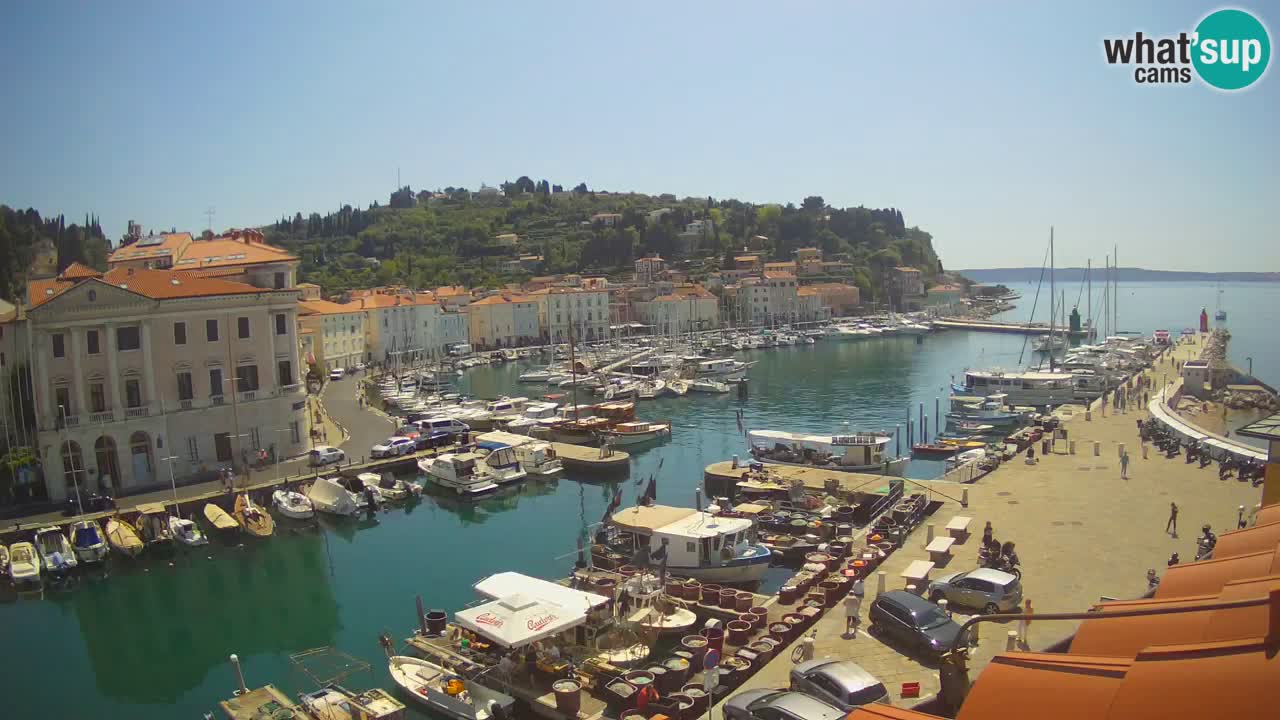 Live-Webcam aus Piran “Mandrač” – Erstaunliche Live-Ansicht von Villa Piranesi