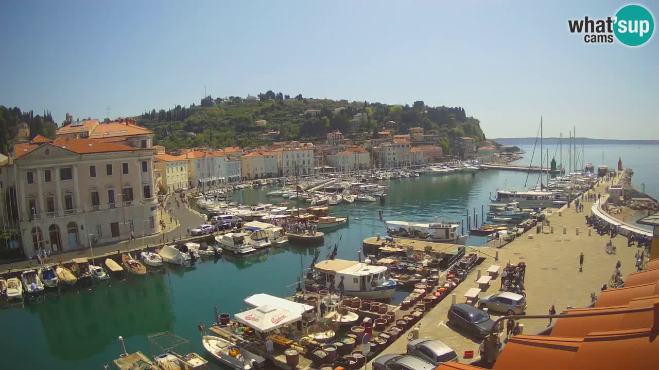 Live webcam from Piran “Mandrač” – Amazing live view from Villa Piranesi