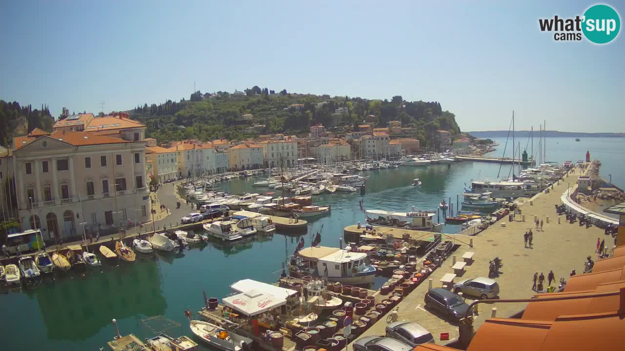 Live webcam from Piran “Mandrač” – Amazing live view from Villa Piranesi