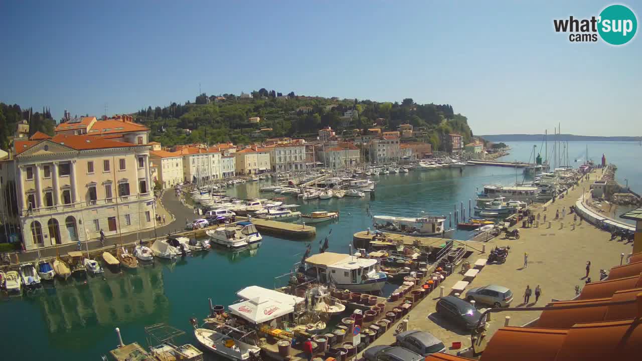 Live-Webcam aus Piran “Mandrač” – Erstaunliche Live-Ansicht von Villa Piranesi