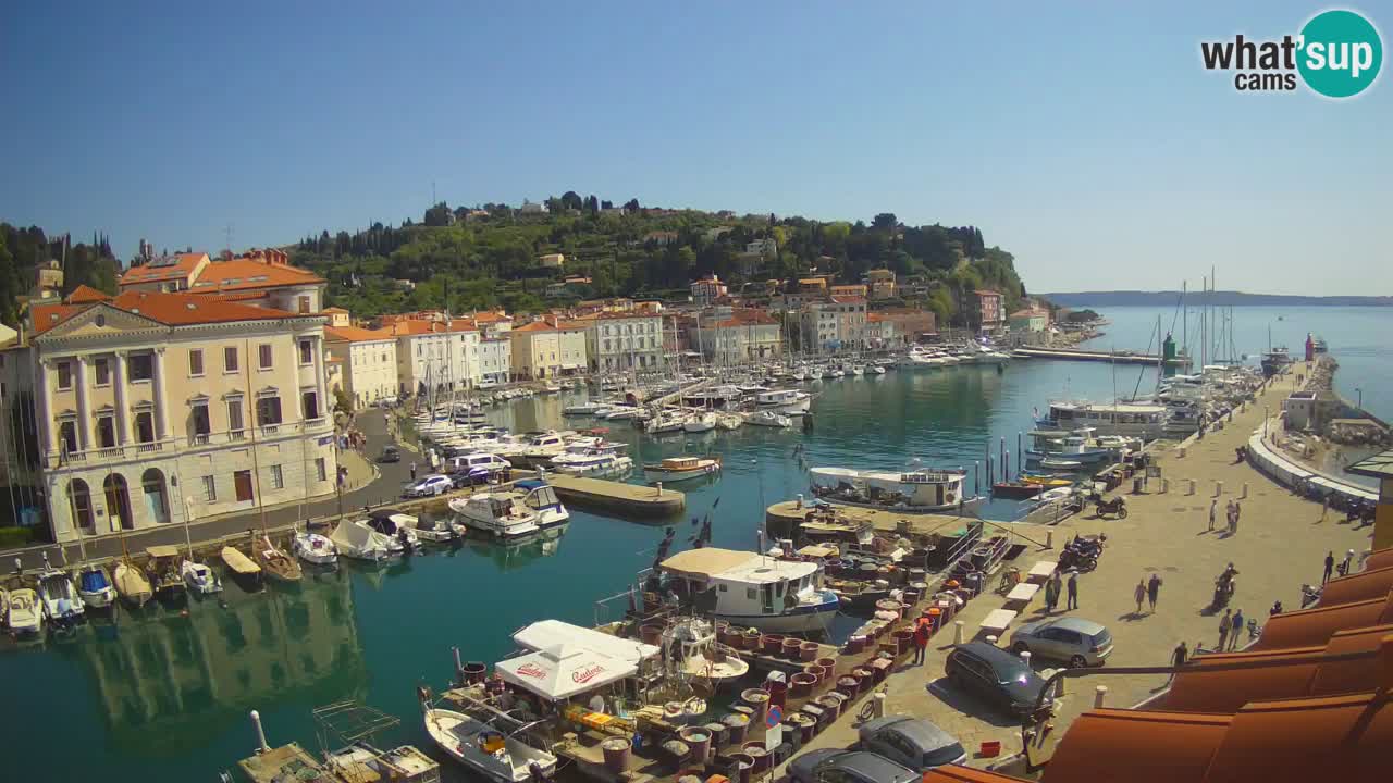 Live-Webcam aus Piran “Mandrač” – Erstaunliche Live-Ansicht von Villa Piranesi