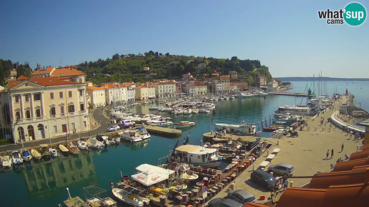 Live webcam da Pirano “Mandrač” – Splendida vista live da Villa Piranesi