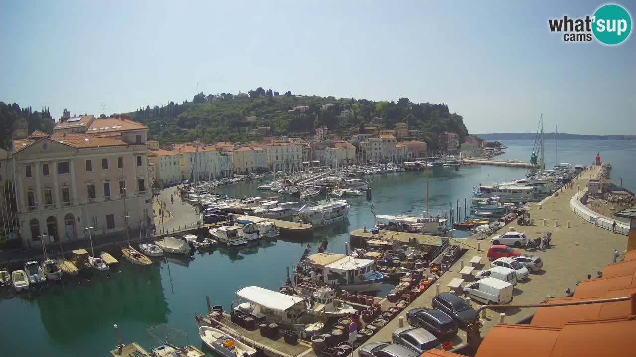 Webcam en direct de Piran “Mandrač” – Incroyable vue en direct de la Villa Piranesi