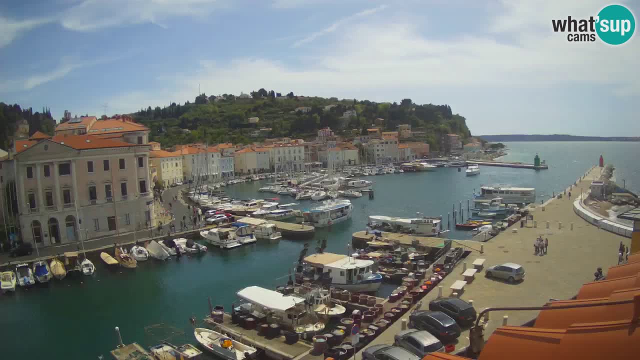 Webcam en direct de Piran “Mandrač” – Incroyable vue en direct de la Villa Piranesi