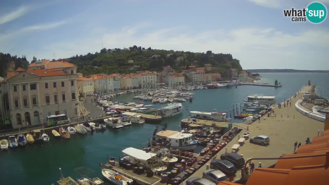 Live-Webcam aus Piran “Mandrač” – Erstaunliche Live-Ansicht von Villa Piranesi