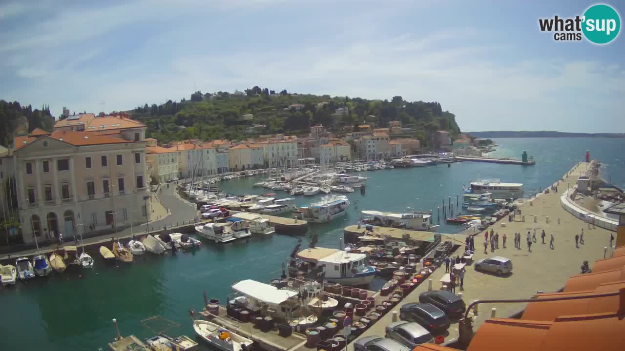 Live-Webcam aus Piran “Mandrač” – Erstaunliche Live-Ansicht von Villa Piranesi