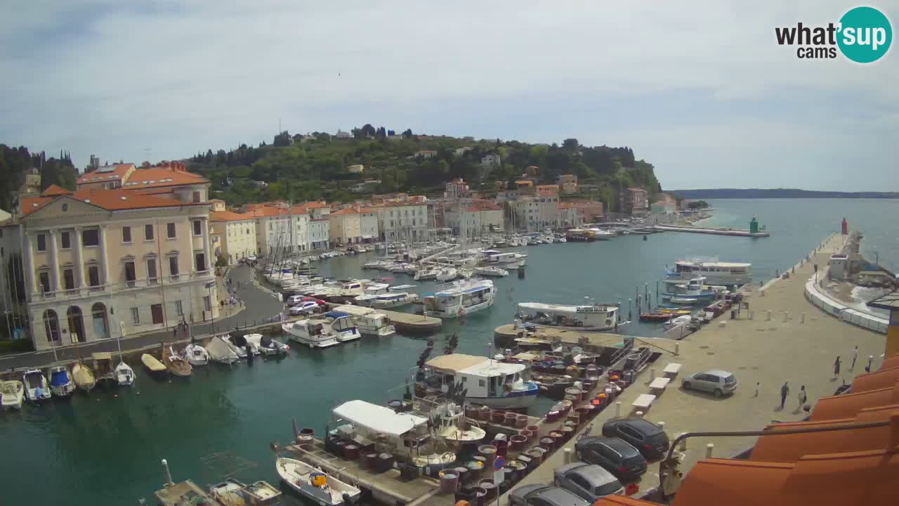 Live webcam da Pirano “Mandrač” – Splendida vista live da Villa Piranesi