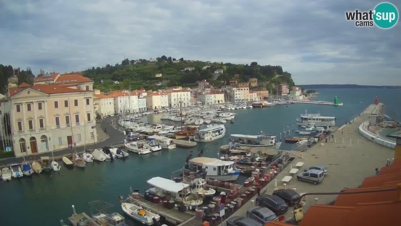 Live webcam da Pirano “Mandrač” – Splendida vista live da Villa Piranesi