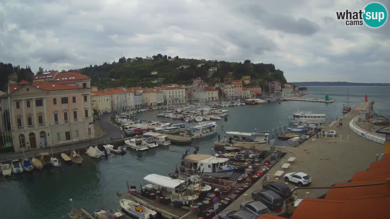 Live webcam da Pirano “Mandrač” – Splendida vista live da Villa Piranesi