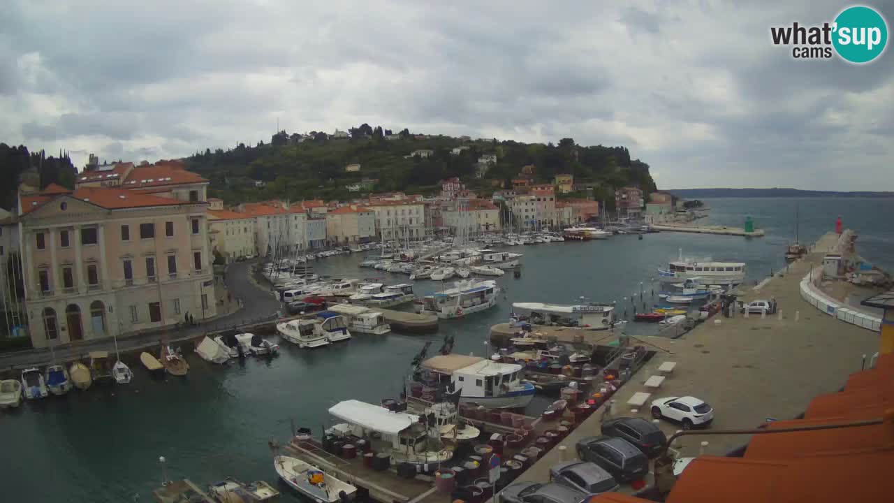Live webcam from Piran “Mandrač” – Amazing live view from Villa Piranesi