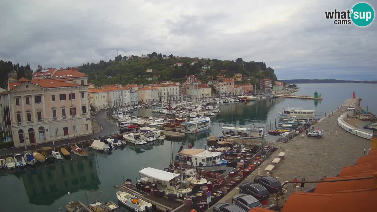 Live webcam from Piran “Mandrač” – Amazing live view from Villa Piranesi
