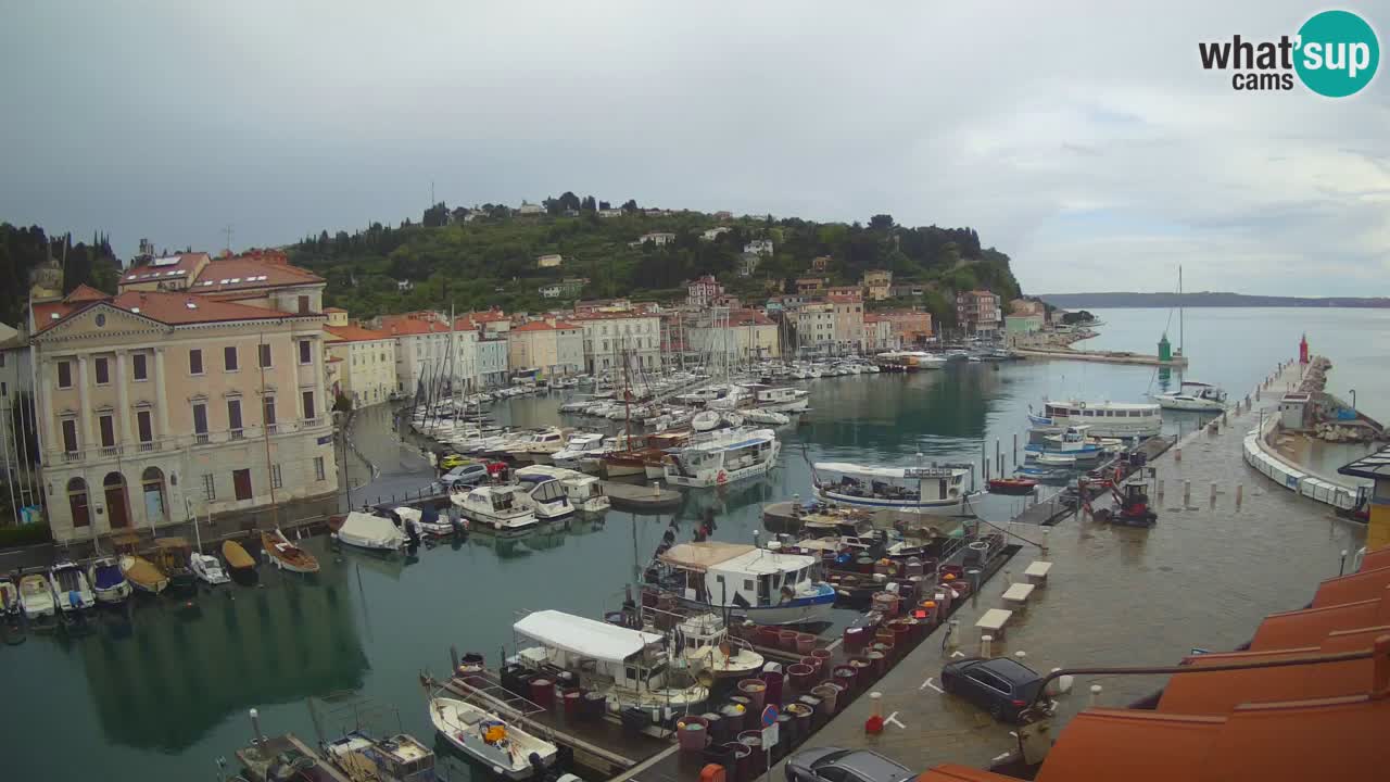 Iz Pirana Spletna kamera v živo “Mandrač” – Neverjeten pogled v živo iz Vile Piranesi
