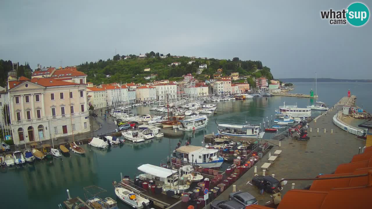 Iz Pirana Spletna kamera v živo “Mandrač” – Neverjeten pogled v živo iz Vile Piranesi